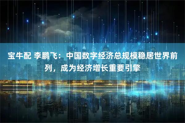 宝牛配 李鹏飞：中国数字经济总规模稳居世界前列，成为经济增长重要引擎
